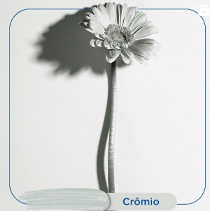 Cromio